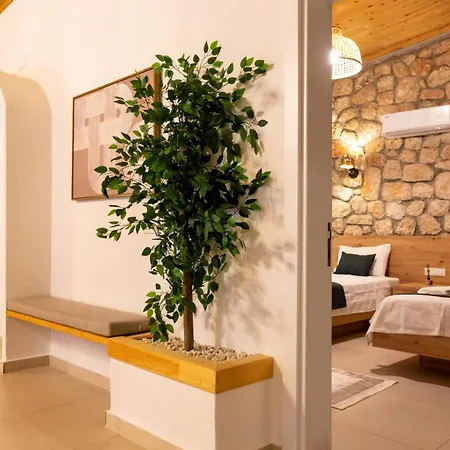 Villa Affordable Stone Kaş